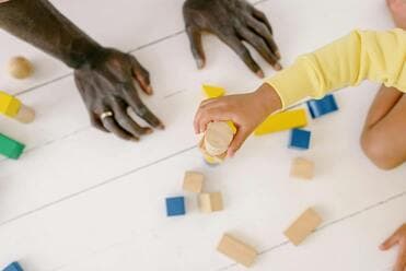 Support Coordination